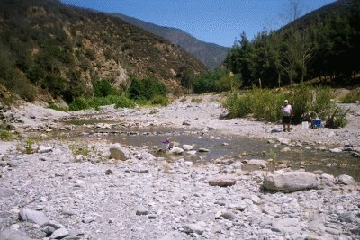 The almost dry river bed of the East Fork Of The San Gabriel River.