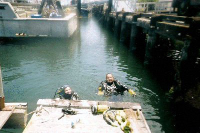 Jim and his buddy dive off the smelly, stinky, crappy (literally) harbor.
