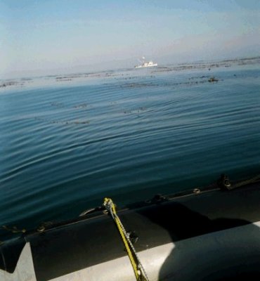 Fishing boats were nearby.