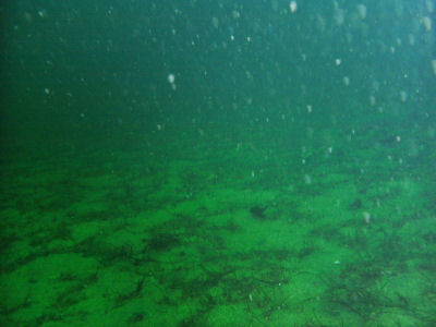 Looking down the shelf