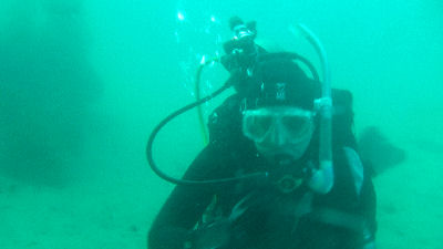 Holly underwater