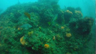 Reef At Terranea Resort.