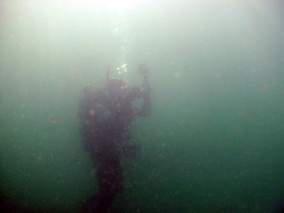 Vis was crystal clear in the cove, but dropped to 10 feet at 120 reef.