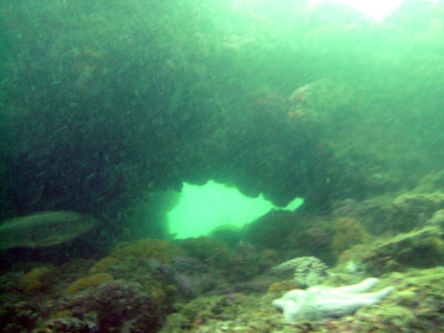 We ran across the small arch.