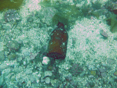 An ancient beer bottle.