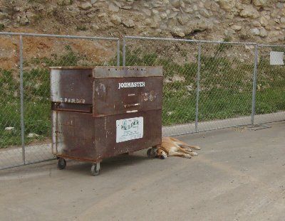 Cyber the Attack Dog sacrifices himself to stop a runaway tool cart.