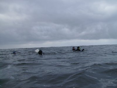 The divers meet at the marker buoy.