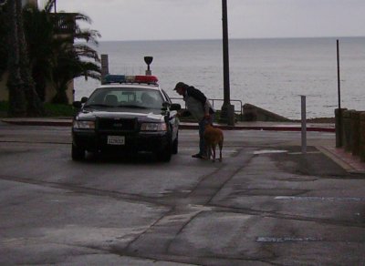 Dive Bum Don pays an instant cash fine to the Dog Police to keep Cyber the attack dog out of jail.
