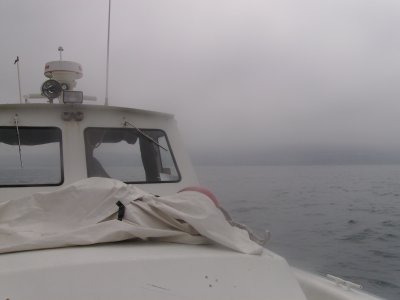 The Island Diver off of Redondo Beach