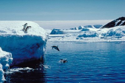 Antarctica SCUBA Diving