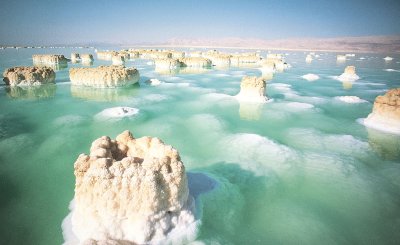 The Dead Sea