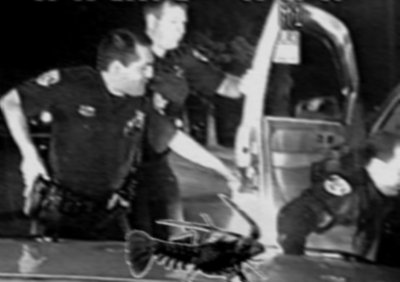 Law enforcement search a vehicle.