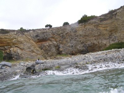 Oh shit! What’s happening!