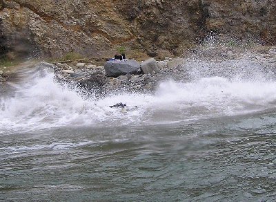 A wave crashes and throws me against a rock.
