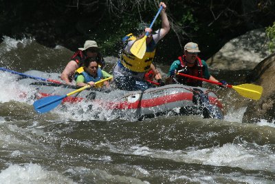 All forward! Dig! Dig! Dig!