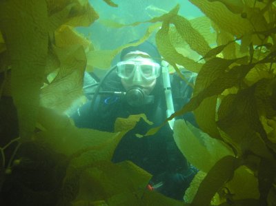 Me in the kelp.