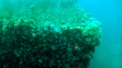 The bow of the Palawan