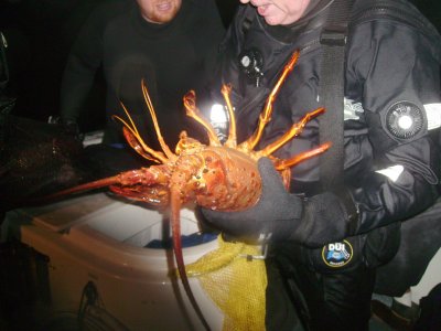 Reverend Al brought up an enormous bug!