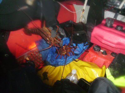 Instructor John caught three lobsters in 100 feet of water.