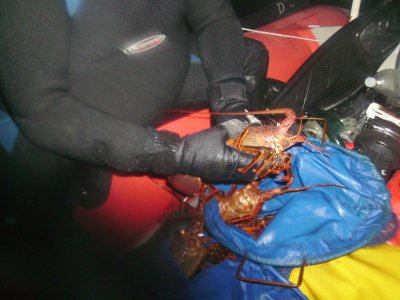 John caught four more bugs on the second dive.