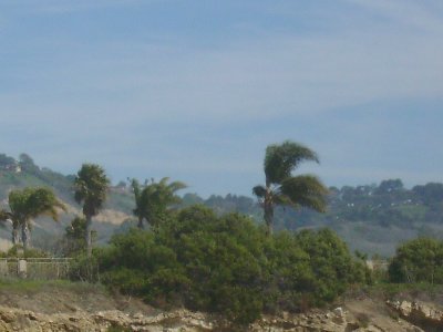 The wind started picking up; a storm is apparently headed our way.