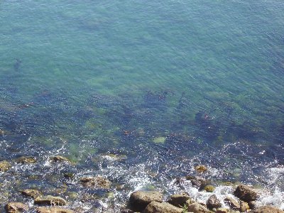The shore was so clear, we could actually see the rocks in the shallows.