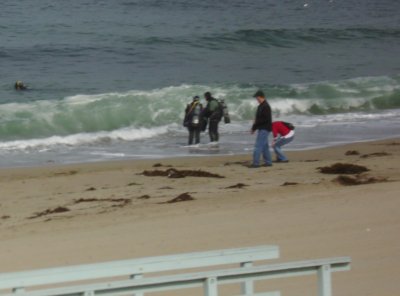 Newbies enter through the surf.