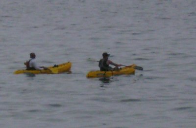 Kayakers off of Long Point