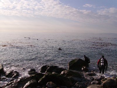 The divers enter the water.